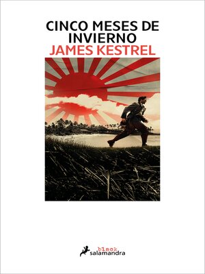 cover image of Cinco meses de invierno